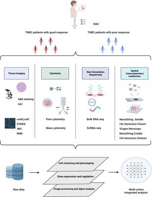 Multiomics technologies for comprehensive tumor microenvironment analysis in triple-negative breast cancer under neoadjuvant chemotherapy